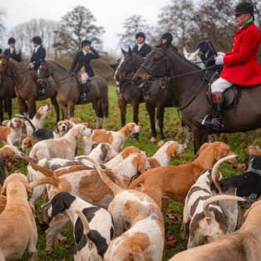 Governments pledge to ban trail hunting in spotlight as Boxing Day hunts meet