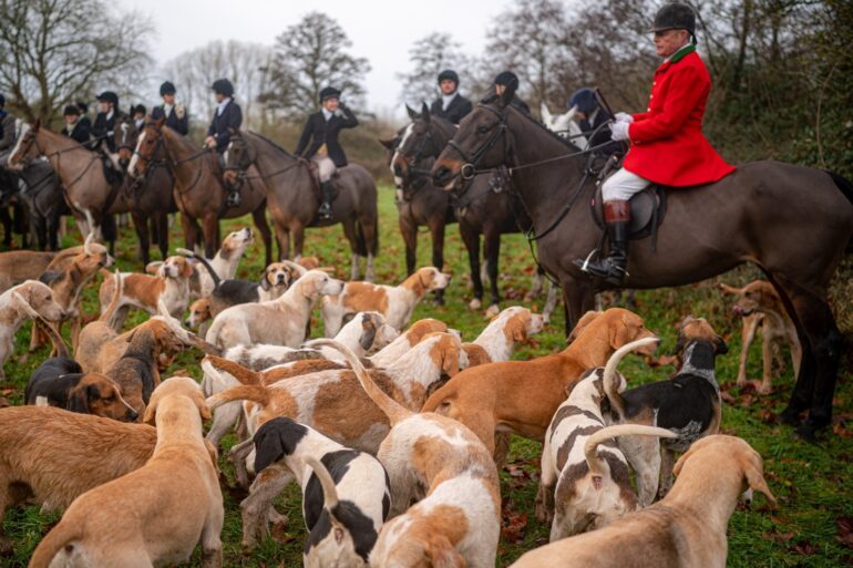 Governments pledge to ban trail hunting in spotlight as Boxing Day hunts meet