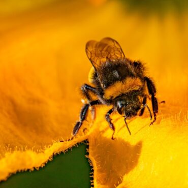 UK exported thousands of tonnes of banned pesticides in 2023 probe reveals