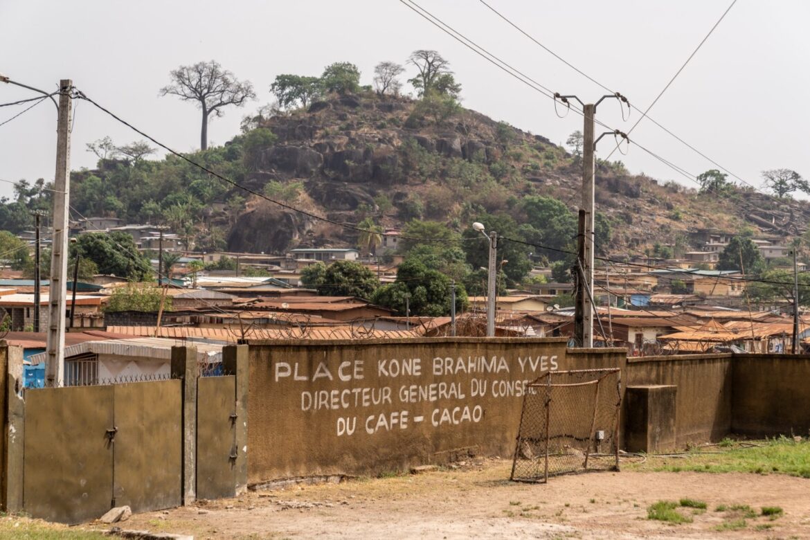 Climate change will destroy cocoa yields by 2030 without support farmers warn