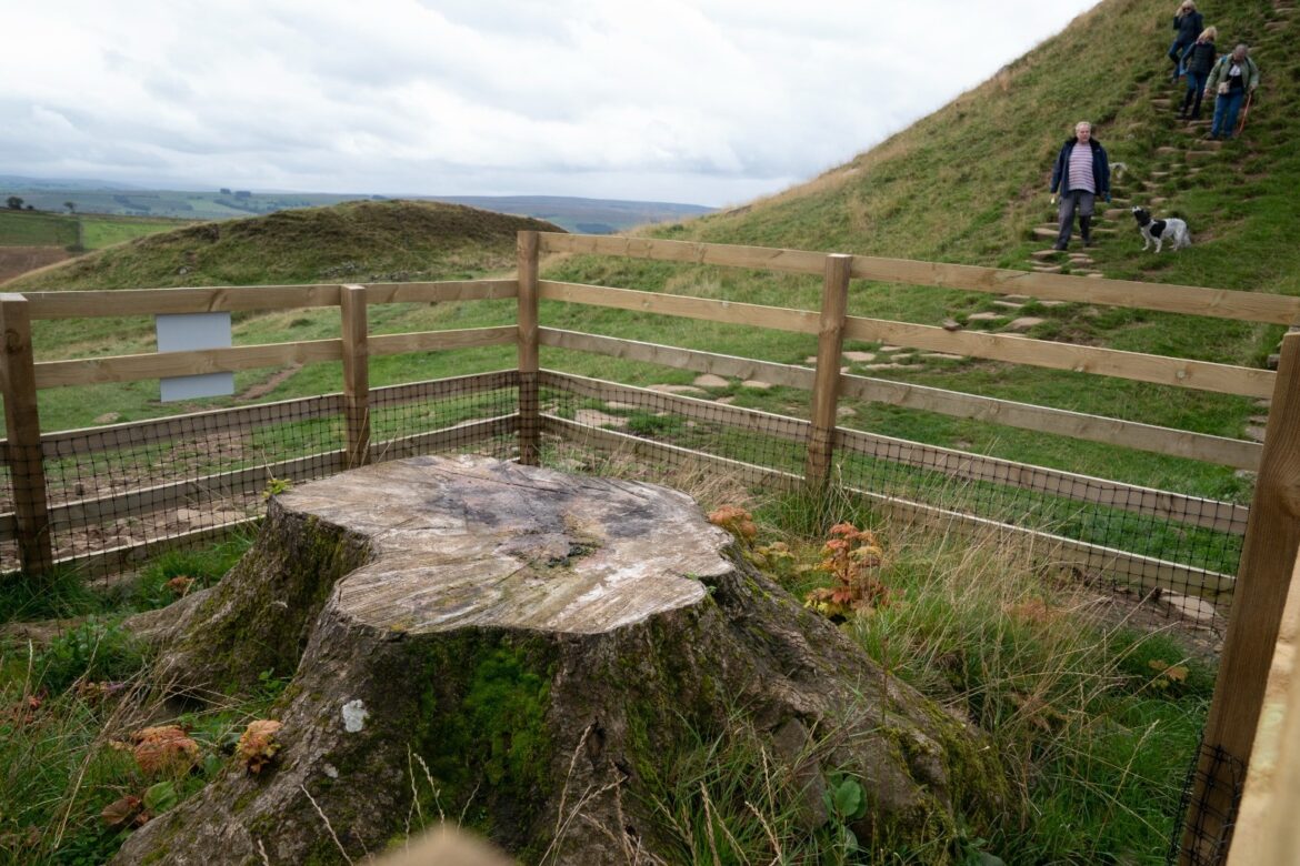 Trial to start for two men accused of felling Sycamore Gap tree