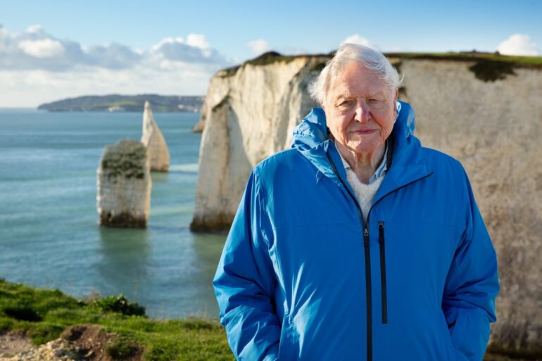 Attenborough tells William he hopes Ocean film will move people to action