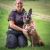 Ministers urged to give pensions to retired police dogs